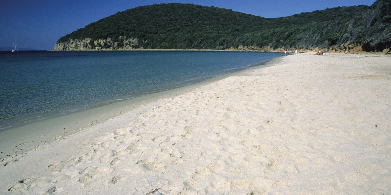 Cala Violina: tra i boschi e il mare della Toscana