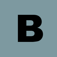 Bidbarg.com