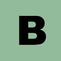 Burt-brinch.hubstack.Net