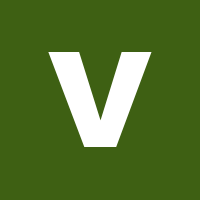 VSWIN